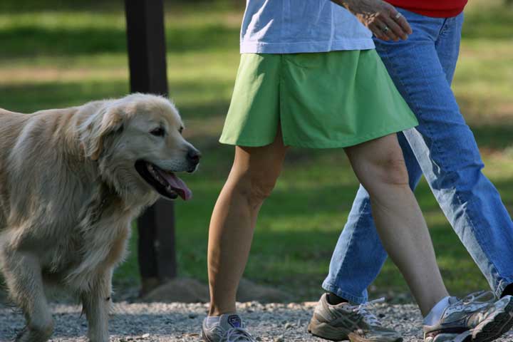 Dog Park Survival Kit