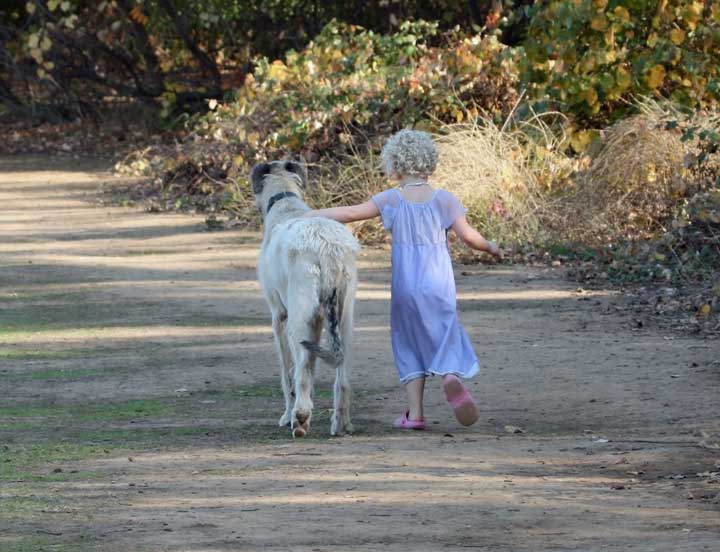 Girl-walking-dog