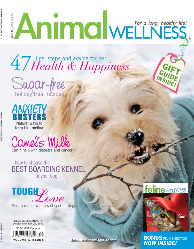 Animal Wellness Magazine – Free Digital Subscription!