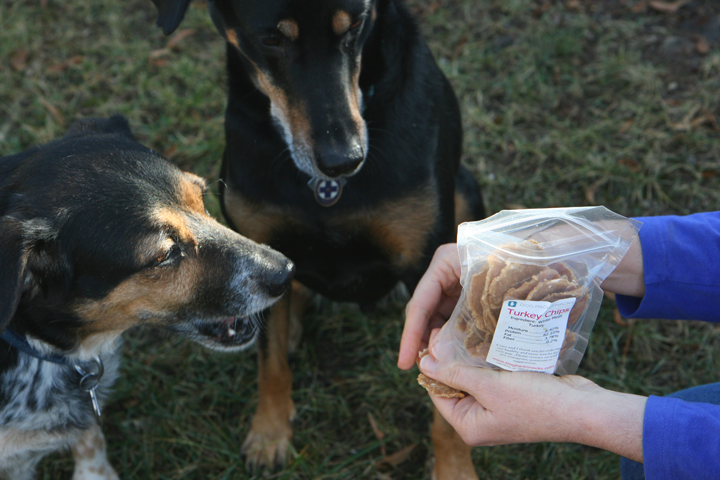 Dog Pack Snacks – Review