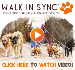 Click here to visit Walk In Sync Inc.